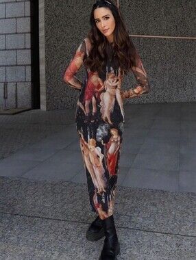 Zara Botticelli Print Tulle Dress Small NWT